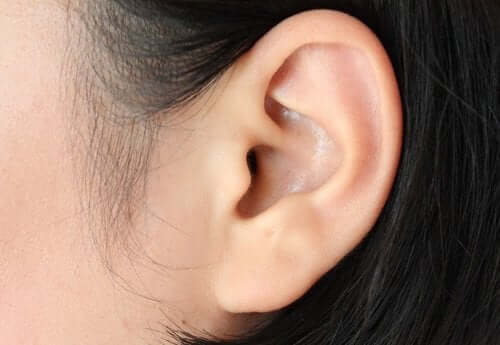 귀 감염을 성공적으로 회복할 수 있다