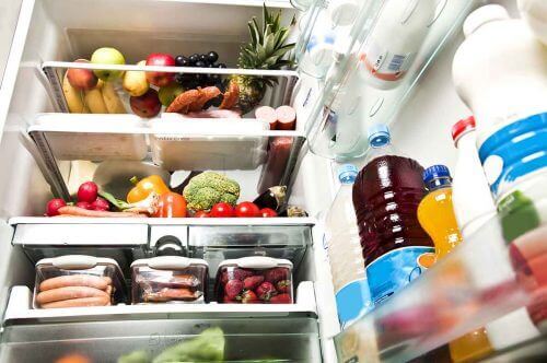 냉장과 냉동
