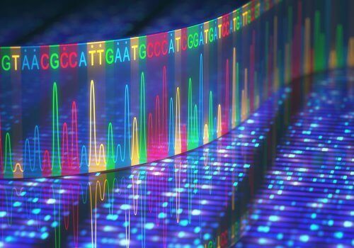 유전자 돌연변이는 어디에서 발생할 수 있을까?