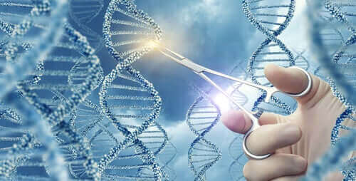 유전자 돌연변이는 무엇일까