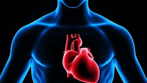심장천자는 약을 투여하는 방법