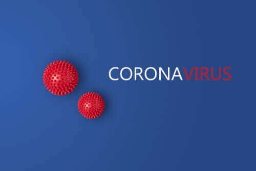 변종 코로나바이러스: L 타입과 S 타입