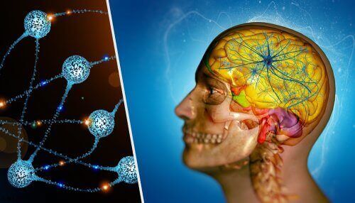뇌 전이의 설명과 치료