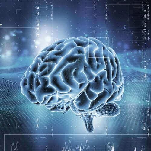 뇌의 보상 시스템 작동 방식