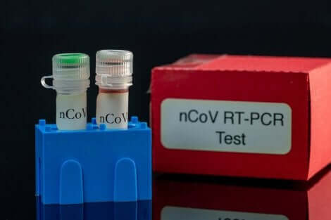 코로나바이러스 검출: PCR 검사란 무엇일까?