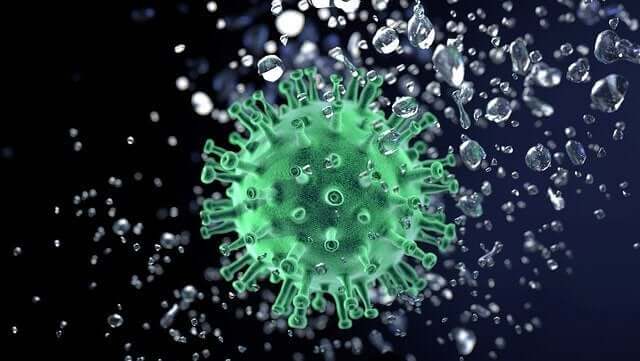 코로나바이러스 감염이란 무엇일까?