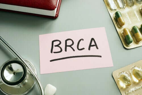 BRCA-1 및 BRCA-2 유전자 - 삼중 음성 유방암