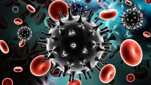 HIV 줄기세포