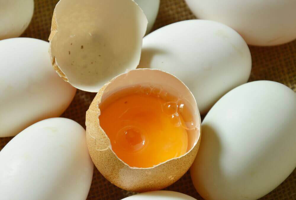 달걀이 신선한 상태인지 어떻게 알 수 있을까?