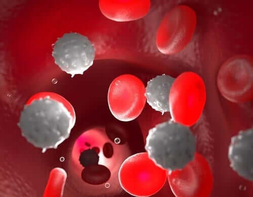 의사들이 혈액 내 높은 수준의 단핵구를 발견하는 방법