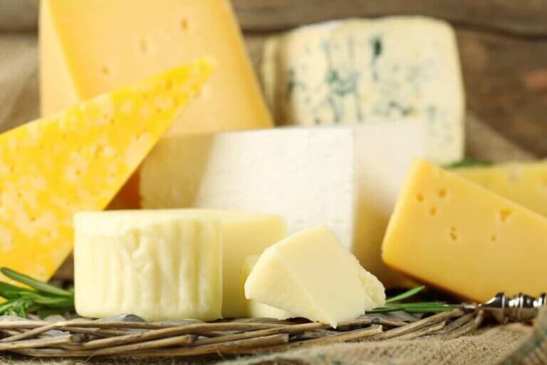 치즈의 종류 및 영양