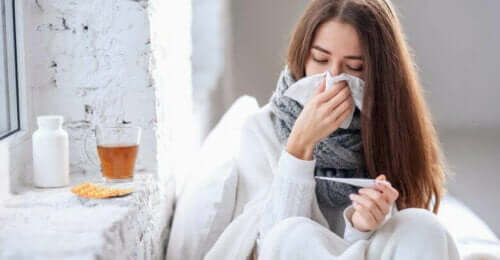 독감 및 감기에 좋은 엘더베리