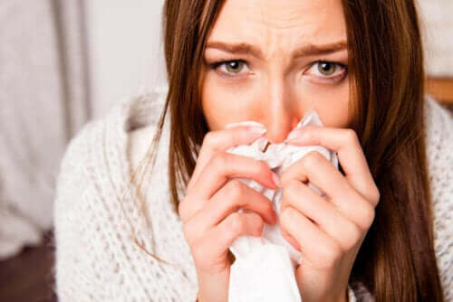 독감이 겨울에 더 퍼져 나가는 이유