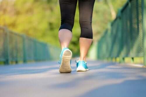 WaRu 방법: 체중 감량 걷기 운동