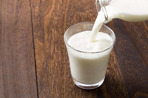 낙타 우유의 특성 