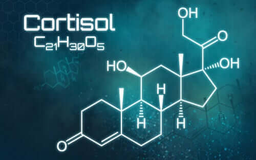 코르티솔 과잉에 관한 모든 것