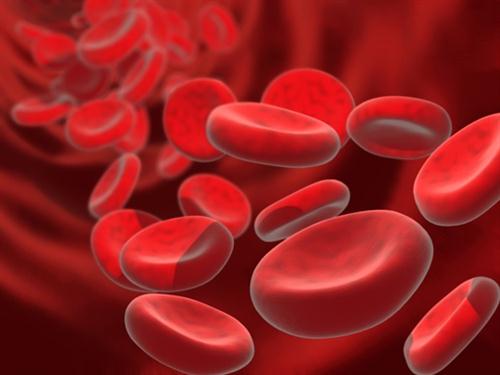 철 결핍성 빈혈이란 무엇일까?