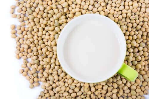 콩 단백질: 건강에 유익할까 해로울까