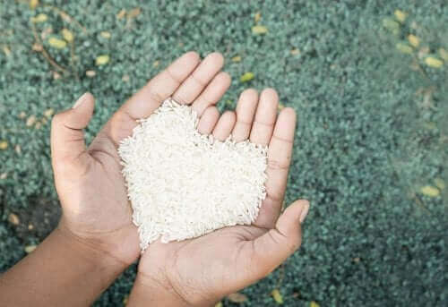 건강하게 쌀을 섭취할 수 있는 2가지 방법