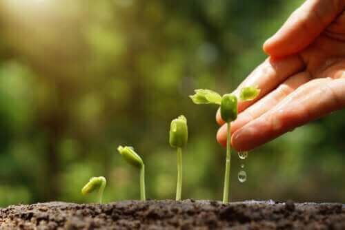 지속 가능한 정원을 가꾸는 6가지 비결