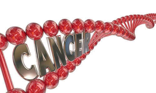 암의 유전적 근거