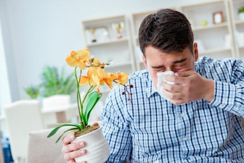 알레르기 비염을 완화하는 요법 10가지