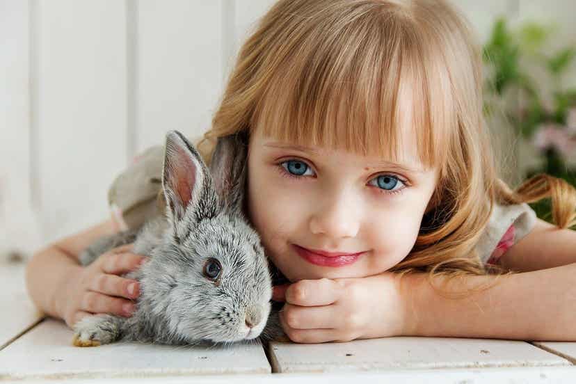 토끼를 반려동물로 키우기 전에 고려해야 할 점