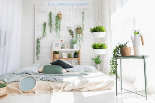 침실에 둔 식물이 산소를 빼앗아 갈까?