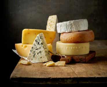 치즈는 하루에 얼마나 먹을 수 있을까?