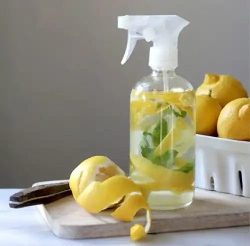 집에 꼭 필요한 레몬의 용도 10가지