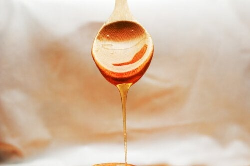 과학적으로 꿀이 최고의 천연 항생제인 이유