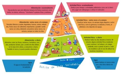 NAOS 피라미드: 청소년 비만의 예방 전략