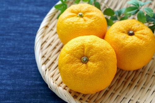 비타민 C가 풍부한 일본 감귤류인 유자 효능