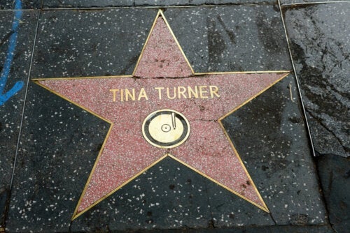 장기 투병 끝에 숨을 거둔 티나 터너