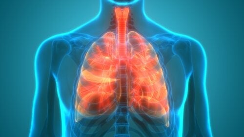 폐 마이크로바이옴 발견과 중요성