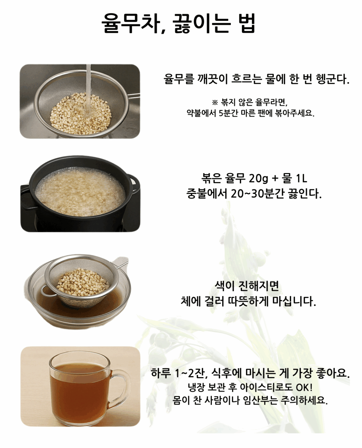 피부부터 면역까지, 율무차가 몸에 좋은 이유 - 건강을 위한 발걸음
