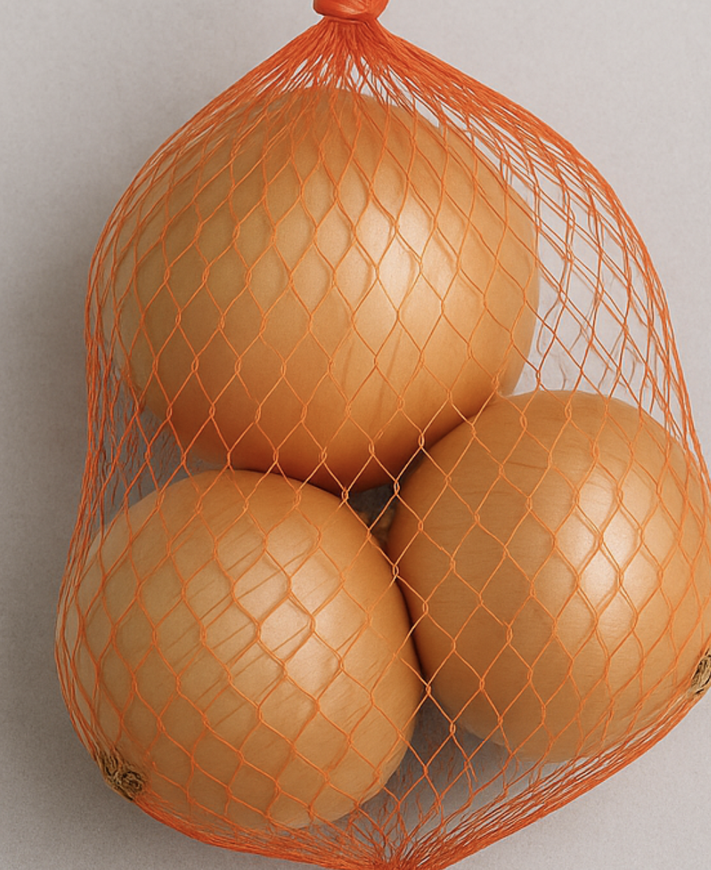 양파 – 껍질은 벗기지 않고, 서늘하게