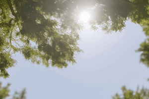 마그네슘과 50대 불면증