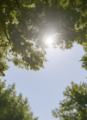 마그네슘과 50대 불면증